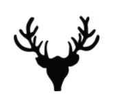 Taxidermy